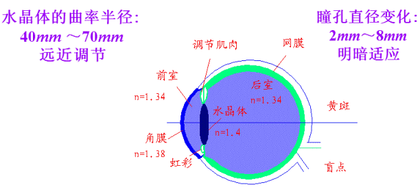 光学系统