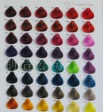 染发色卡 头发色卡 毛板染色色卡 Hair Color Chart