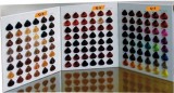 染发色卡 头发色卡 毛板染色色卡 Hair Color Chart